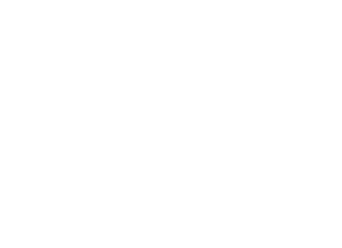 FIRST JOB